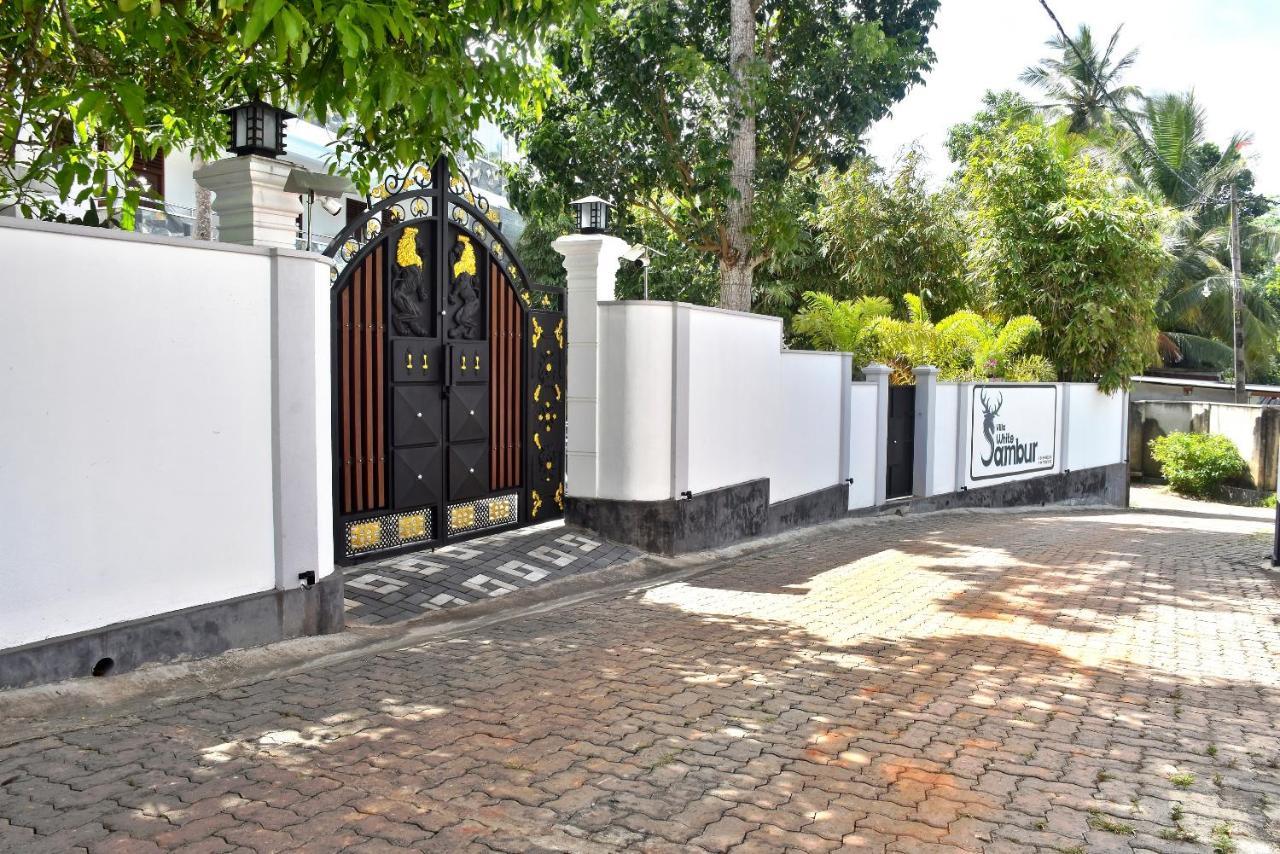 Villa De White Sambur Hikkaduwa Buitenkant foto